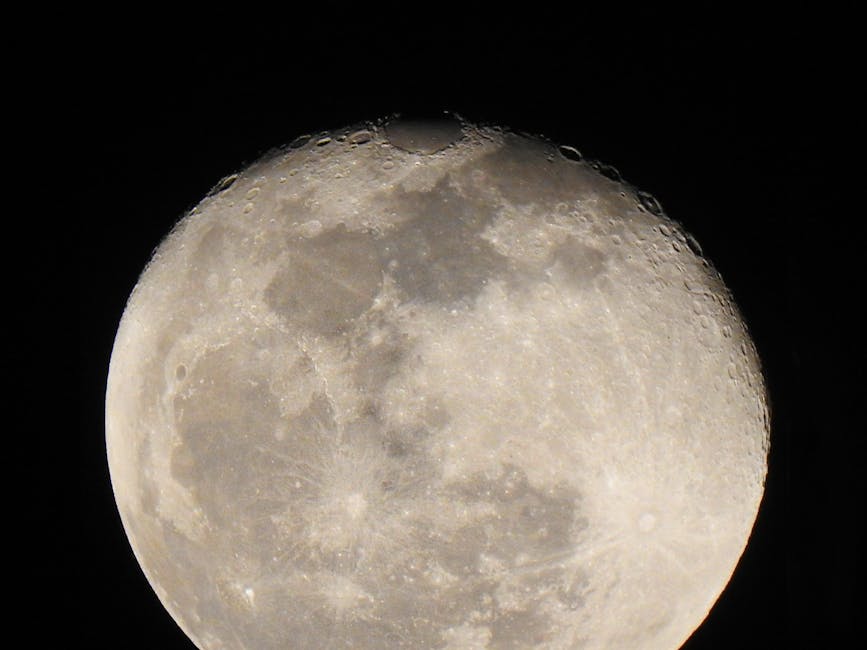 Detailed close-up of the moon showcasing its craters against a dark night sky.